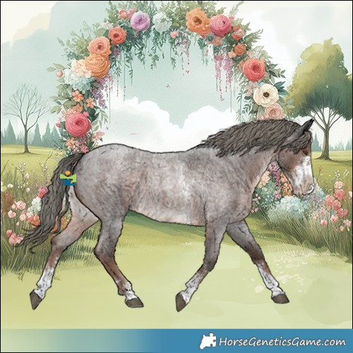 Horse Color:Liver Red Roan Mushroom Sabino Rabicano