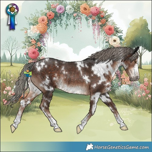 Horse Color:White Spotted Liver Chestnut Mushroom Rabicano