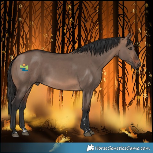 Horse Color:Brown Dun Mushroom