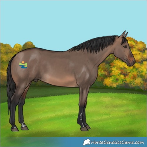 Horse Color:Brown Dun Mushroom 