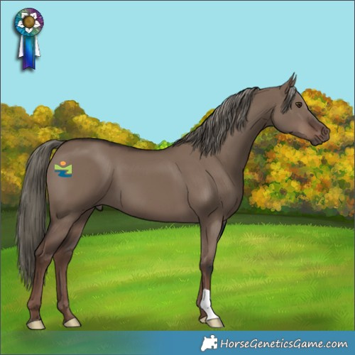 Horse Color:Liver Red Dun Mushroom 