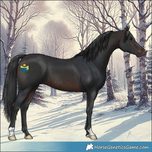 Horse Color:Brown Mushroom 