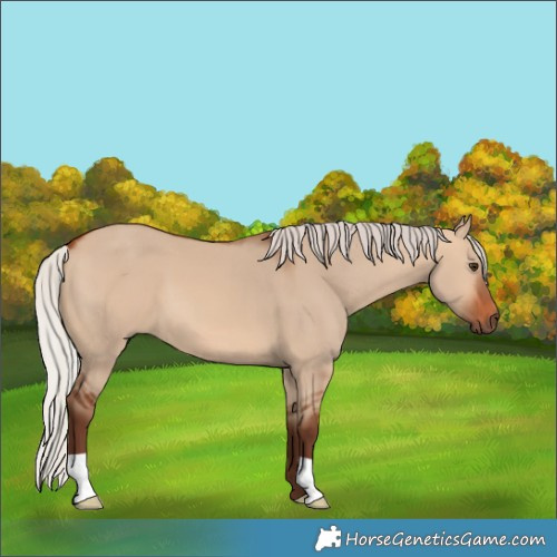 Horse Color:Silver Bay Dun 