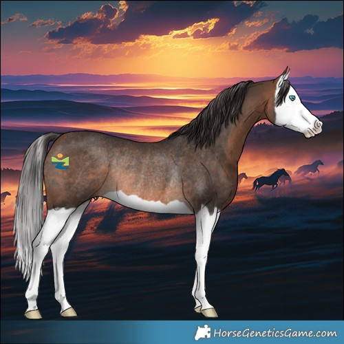 Horse Color:Brown Splash Rabicano 