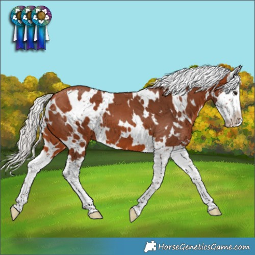 Horse Color:White Spotted Silver Bay Splash 