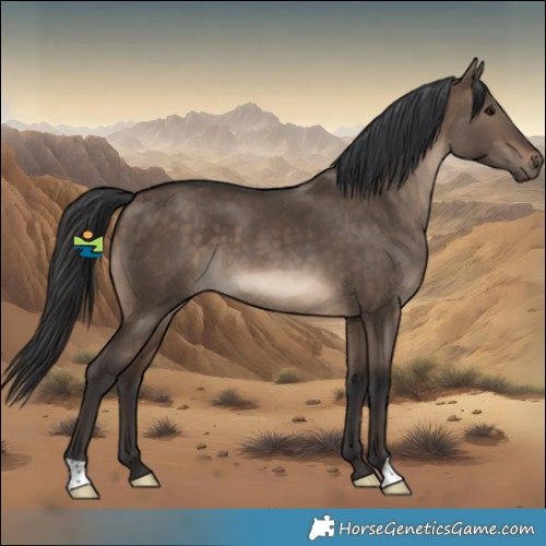 Horse Color:Brown Dun 