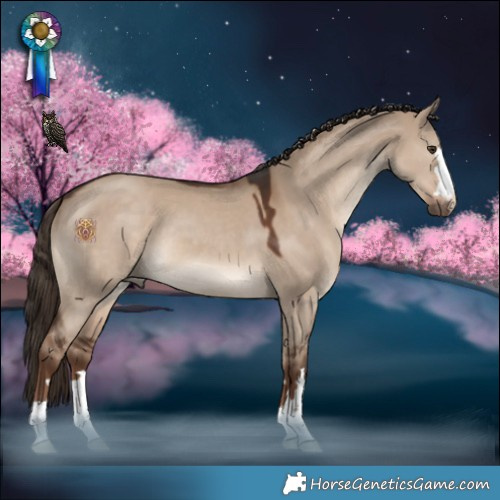 Horse Color:Liver Red Dun 