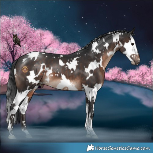 Horse Color:White Spotted Brown Mushroom Splash