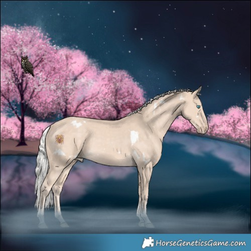 Horse Color:White Spotted Silver Perlino 