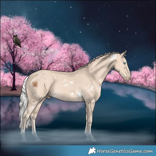 Horse Color:White Spotted Silver Perlino