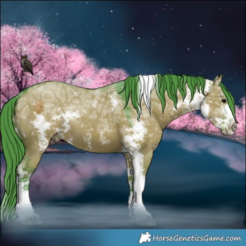 Horse Color:Watercolor Grullo Ice Sabino