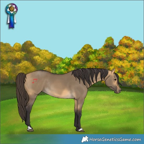 Horse Color:Buckskin Dun Rabicano