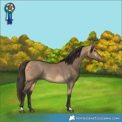 Horse Color:Buckskin Dun Rabicano 
