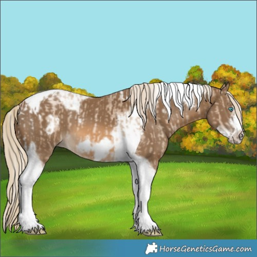 Horse Color:Chocolate Palomino Pearl Tobiano Frame  and Chocolate Palomino Tobiano Frame 