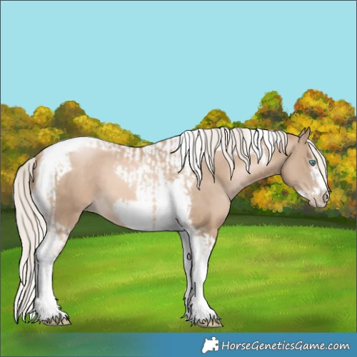 Horse Color:Chocolate Palomino Pearl Tobiano Frame and Chocolate Palomino Pearl Splash Tobiano Frame
