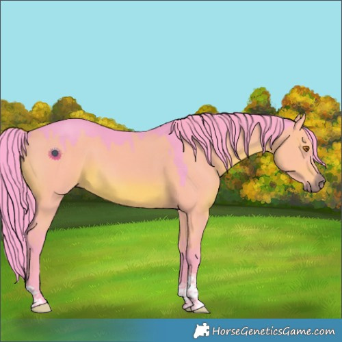 Horse Color:Watercolor Grullo Tobiano Rabicano