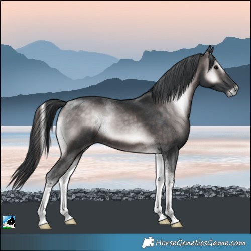 Horse Color:Platinum Brown Onyx Tobiano