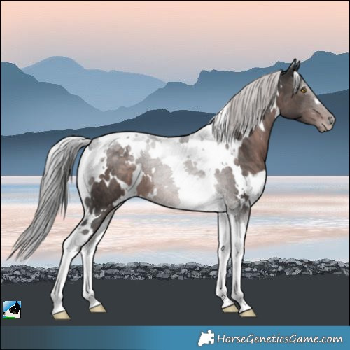 Horse Color:Platinum White Spotted Liver Chestnut Tobiano 