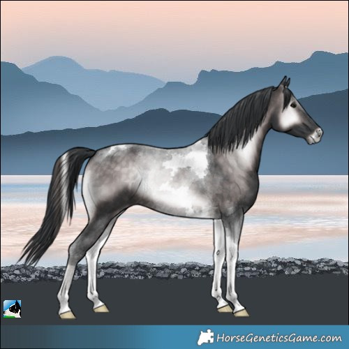 Horse Color:Platinum Brown Onyx Tobiano 