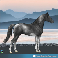 Horse Color:Platinum Liver Chestnut Tobiano