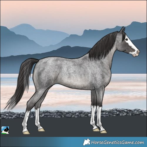 Horse Color:Platinum Smoky Blue Roan Mushroom Splash Rabicano