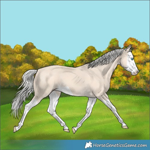 Horse Color:Silver Perlino Splash 