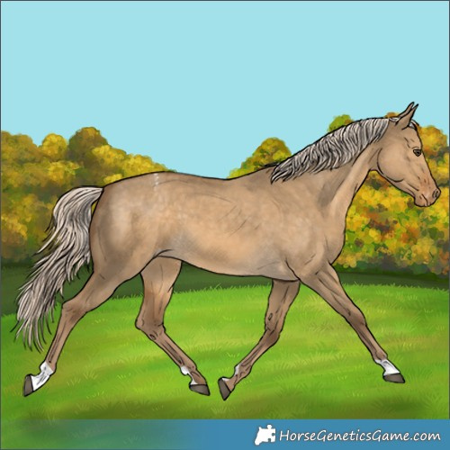 Horse Color:Chocolate Palomino Dun Varnish 