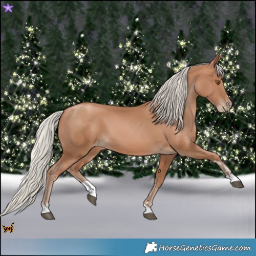 Horse Color:Silver Black Pearl Tobiano 