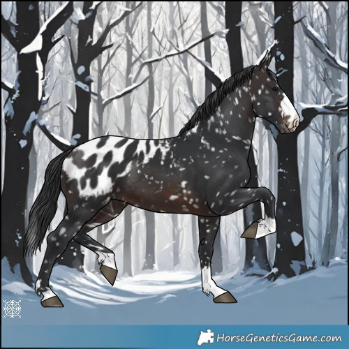 Horse Color:Brown Blanket 