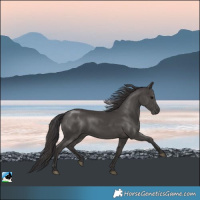 Horse Color:Smoky Black Rabicano