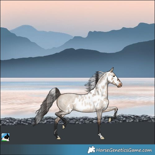 Horse Color:Brown Roan Dun Skewed LP Spotted Rabicano