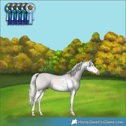 Horse Color:Platinum Chocolate Palomino Dun Splash Rabicano