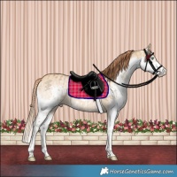 Horse Color:Buckskin Dun Splash and Red Dun Splash