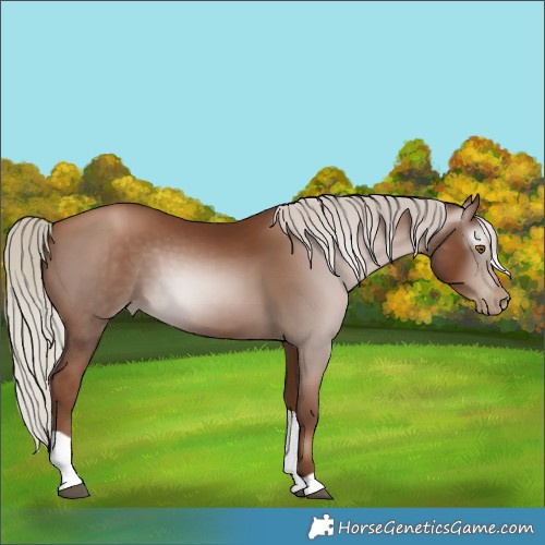 Horse Color:Gray Silver Black Pearl Tobiano 