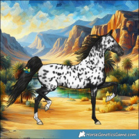 Horse Color:Gray Black Near Leopard 