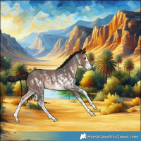 Horse Color:Brown Sabino 