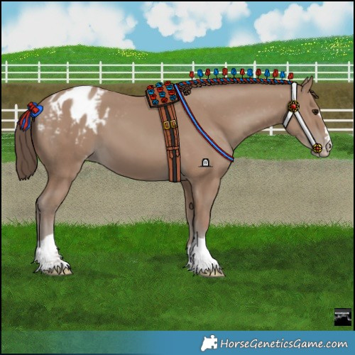 Horse Color:Classic Champagne Blanket