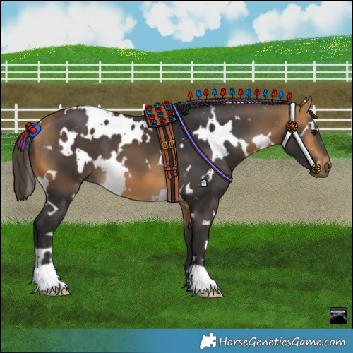 Horse Color:White Spotted Buckskin