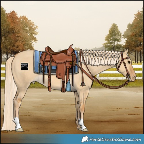 Horse Color:Palomino Dun Varnish