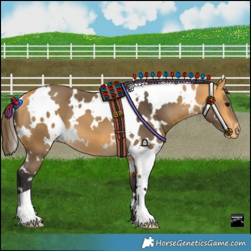 Horse Color:White Spotted Buckskin Varnish