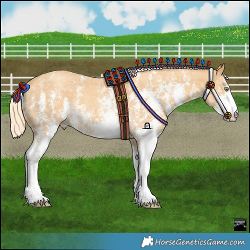 Horse Color:Gold Cream Champagne Sabino