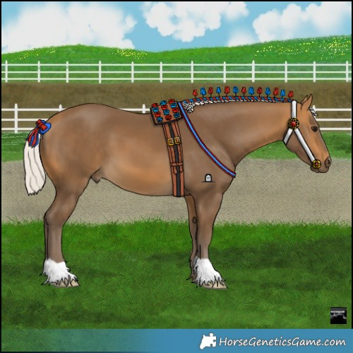 Horse Color:Silver Buckskin