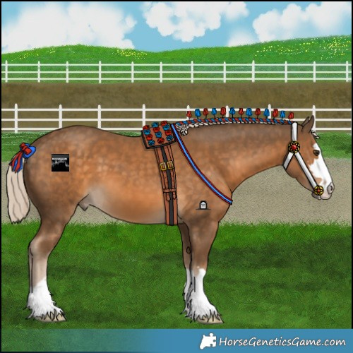 Horse Color:Chocolate Palomino 