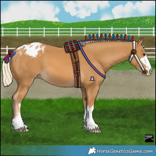 Horse Color:Palomino Varnish 