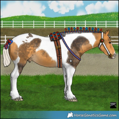Horse Color:Silver Buckskin Tobiano 