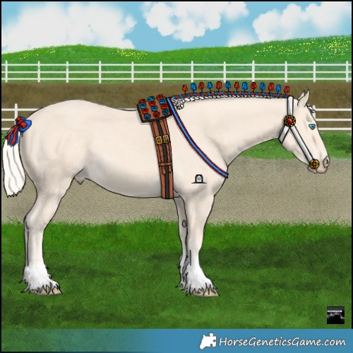 Horse Color:Cremello