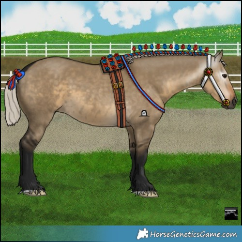 Horse Color:Gray Silver Smoky Grullo 