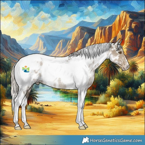 Horse Color:Silver Smoky Grullo Tobiano Near Leopard Rabicano