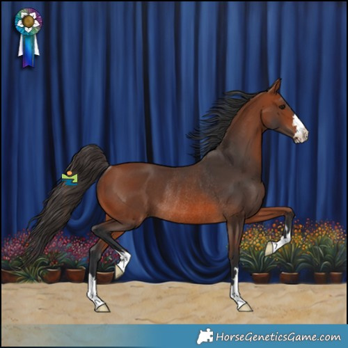 Horse Color:Bay Rabicano 