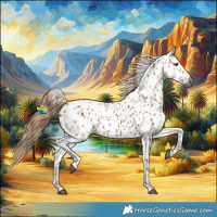 Horse Color:Gray Chestnut Leopard Rabicano 